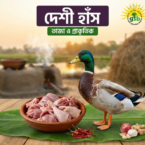 দেশী হাঁস
