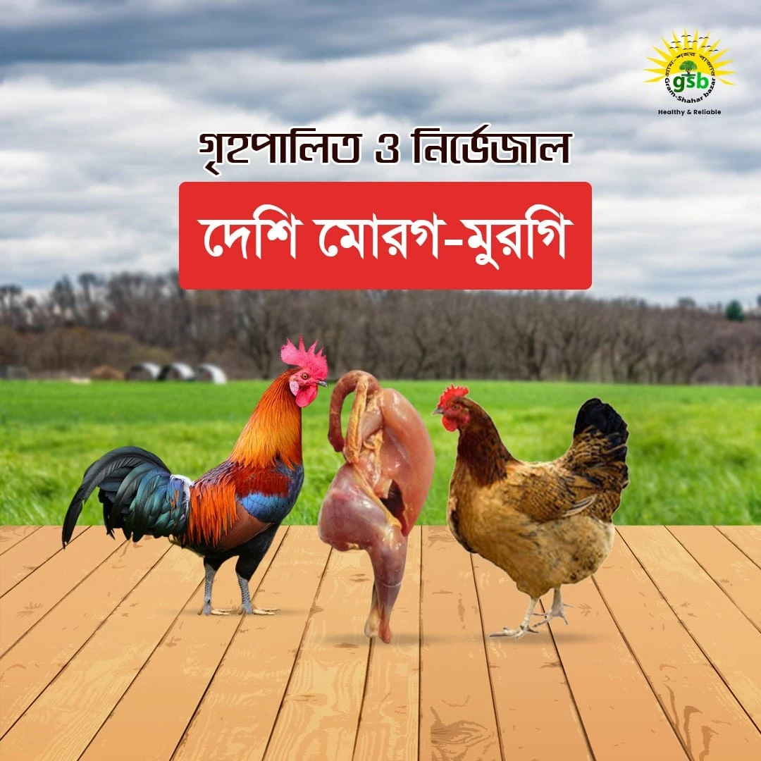 Deshi Murgi